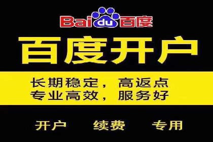 百度竞价排名案例：如何实现精准营销